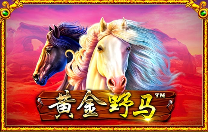 打开澳门网站494949ocm