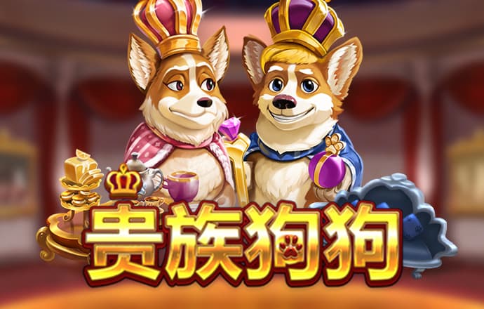 kok官方体育在线
